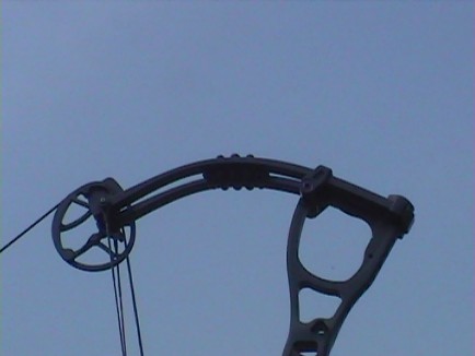 hoyt-chasse-de-nicolas